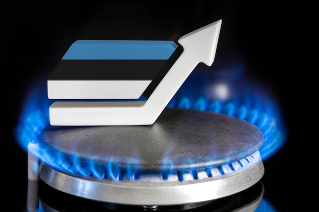 Gasprijs Stijging van de gasprijzen in Estland Een brander met een vlam en een pijl omhoog geschilderd in de kleuren van de vlag van Estland Het concept van stijgende gas- of energieprijzen