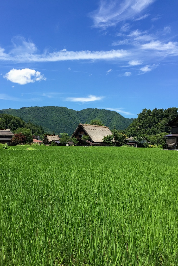 Photo 合掌造りの家、夏の白川郷の歴史的な村、日本
