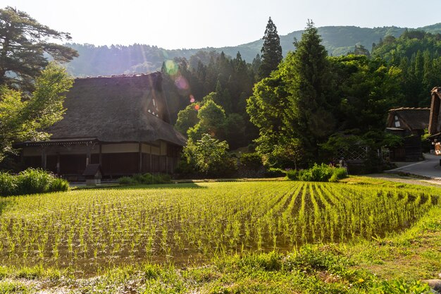 Photo gasso houses in shirakawa-go, japan