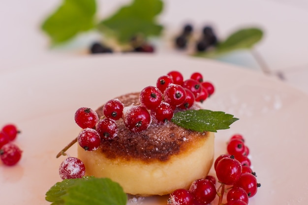 Gastronomisch ontbijt - Kwarkpannenkoekjes, syrniki, wrongelbeignets met rode aalbes en poedersuiker in een witte plaat. Selectieve aandacht.