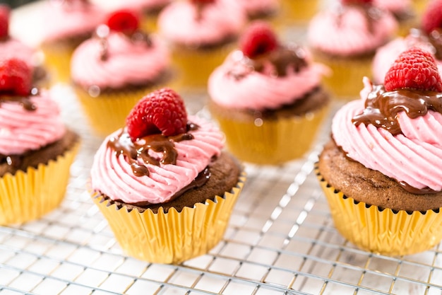 Gastronomische chocolade frambozen cupcakes besprenkeld met chocolade ganache en gegarneerd met een verse framboos