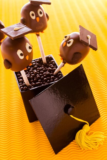 Foto gastronomische chocoladetaart pops versierd voor afstudeerfeest.