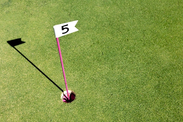 Gat gemarkeerd met een kleine vlag bij het minigolfgebied Nummervlag op een minigolfbaan