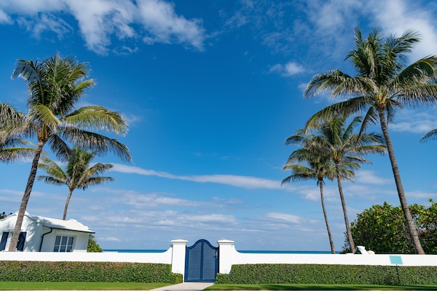 Gate entrance with fence and door with palm trees