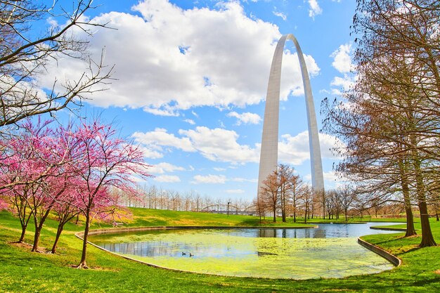 Foto gateway arch in st. louis aan een meer omzoomd met kersenbomen in het vroege voorjaar