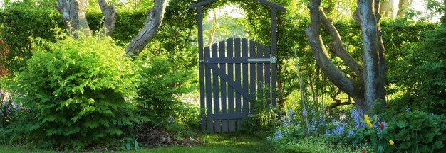 Gateway to peace and quiet A lush green garden with a small gate in the middle