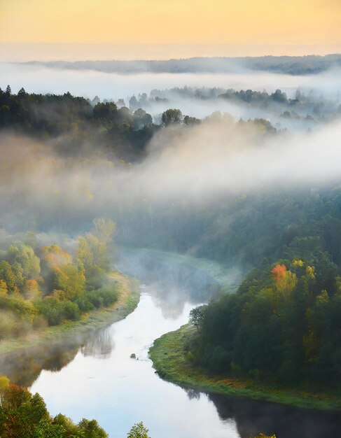 Gauja river valley and pine forest in a clouds of thick mysterious morning fog at sunrise