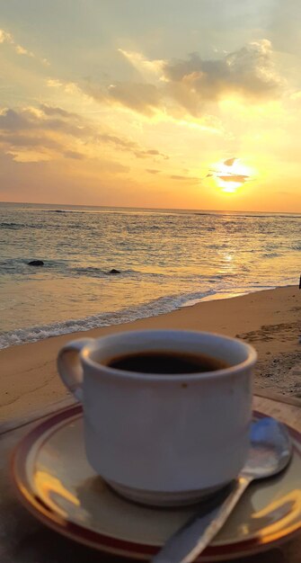 Photo gayo arabica coffee and sunset