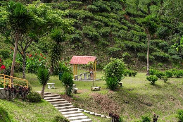 Gazebo in a beautiful place of living green nature. Coziness and serenity overlooking the green hills