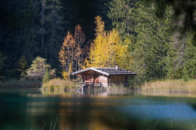 Photo gazebo by lake in forest during autumn