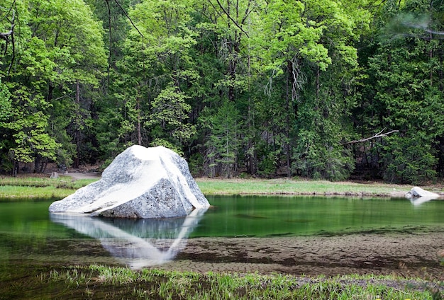 Foto gazebo vicino al lago nella foresta