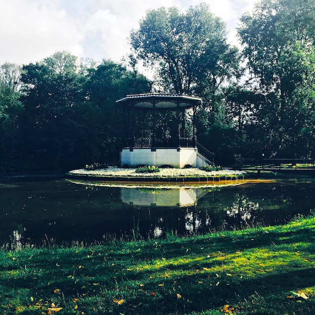 Photo gazebo by lake at park