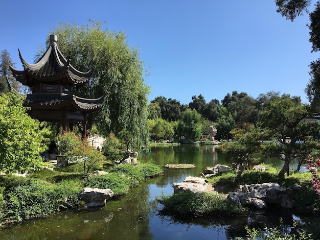 Photo gazebo by pond and trees against sky in park on sunny day