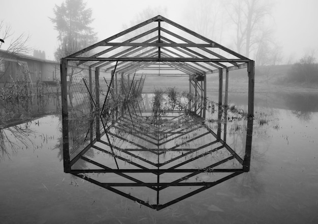 Photo gazebo by trees against sky