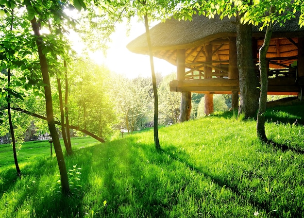 Gazebo among the green trees in sunny day