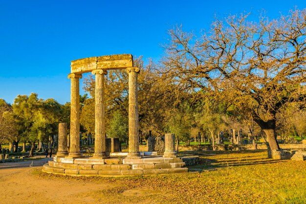 Gazebo in park against clear sky