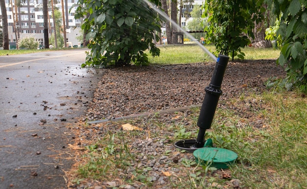 Gazon irrigatiesysteem werken in een groen park. bij warm weer het gazon met water besproeien. automatische sproeier. de automatische sproeikop die het gazon besproeit. slimme tuin.