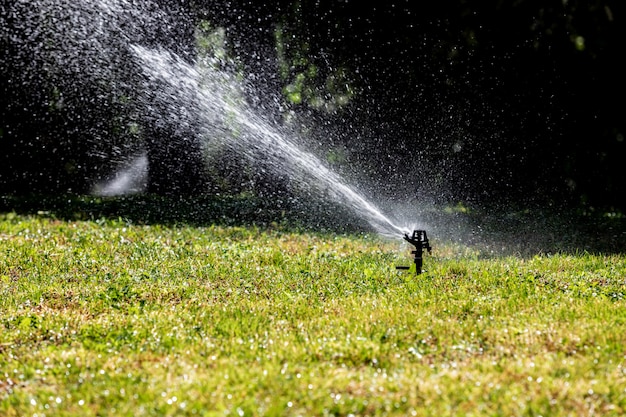 Gazon water sprinkler spuiten water over