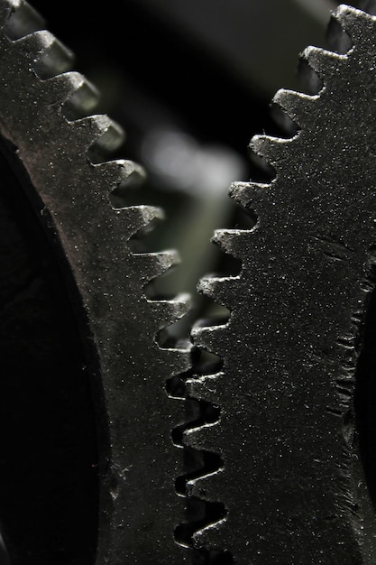 Gear Wheel