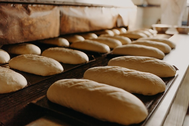 Gebakken Brood op de productielijn bij de bakkerij