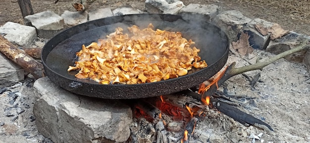 Gebakken chanterelles en aardappelen Koken heerlijke schotels van paddenstoelen