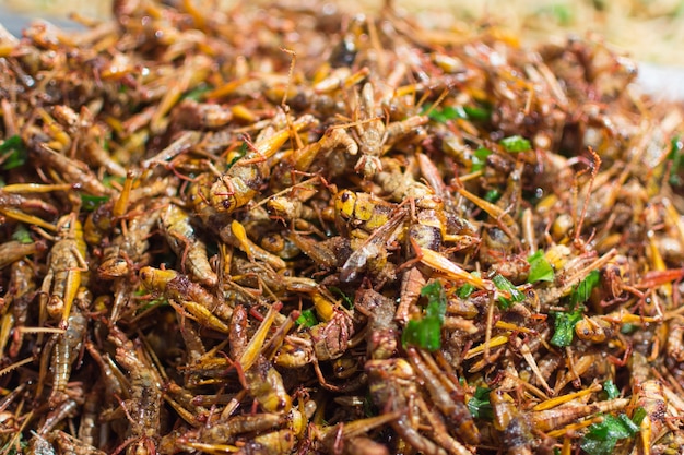 Gebakken insecten verschillende soorten is het eten is gemakkelijk te vinden in de Thaise straatvoedsel markt