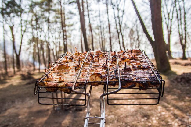gebakken kippenvlees op een barbecue in de natuur