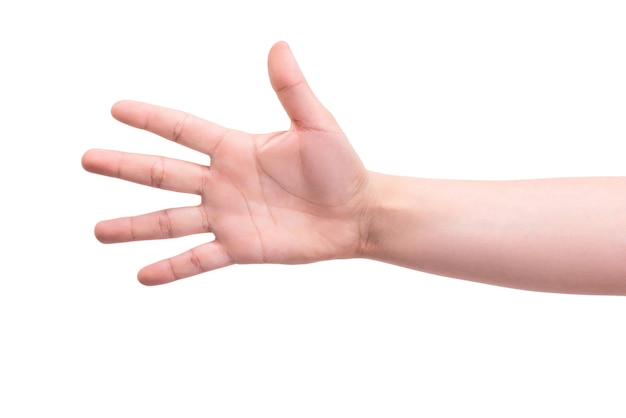 Gebaren De hand van één persoon toont vijf vingers