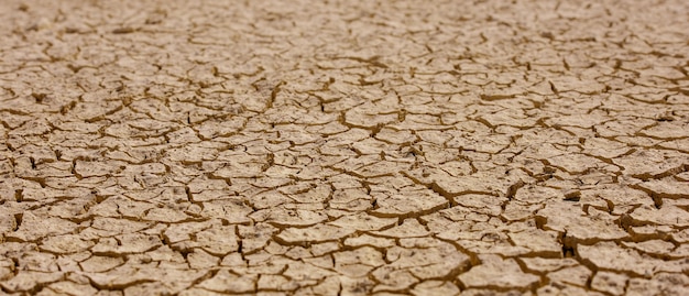 Gebarsten bruine modder, onvruchtbare natuurlijke textuur van het landoppervlak