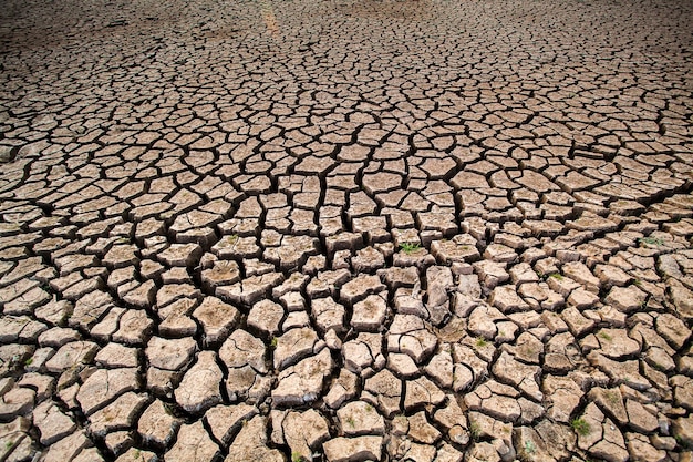 Gebarsten droge grond