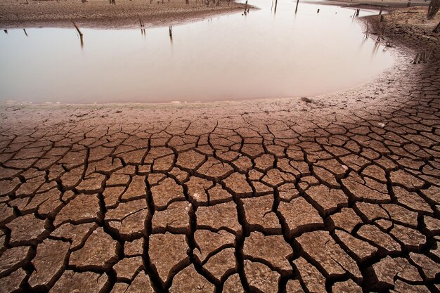 Gebarsten droge grond