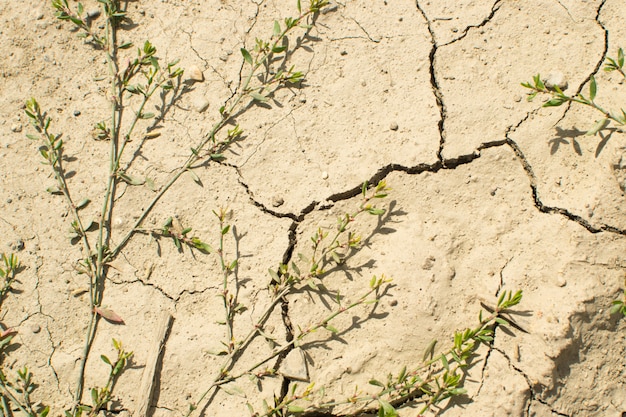 Gebarsten droge kleiachtergrond