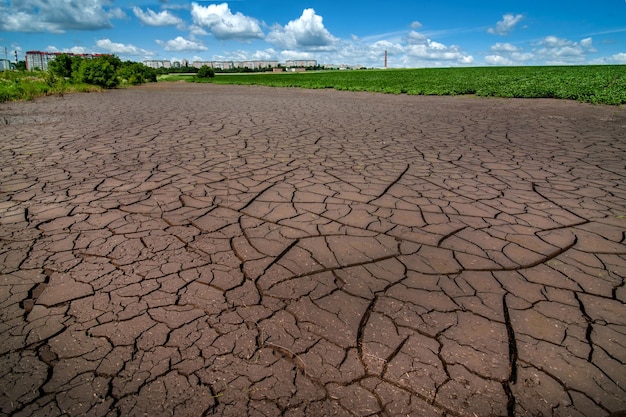 Gebarsten grond na overstroming van veld met groene sojabonen buiten de groothoek van de stad