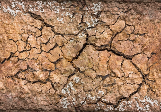 Gebarsten grond voor achtergrond- en textuurmateriaal