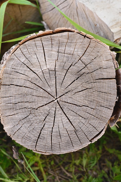 Gebarsten logboekachtergrond van gebarsten gedeelte van oud droog hout
