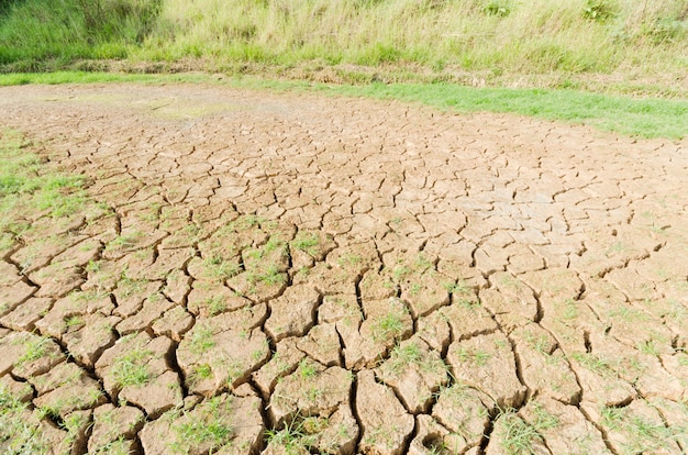 Gebarsten moddertegels in droog rivierbed