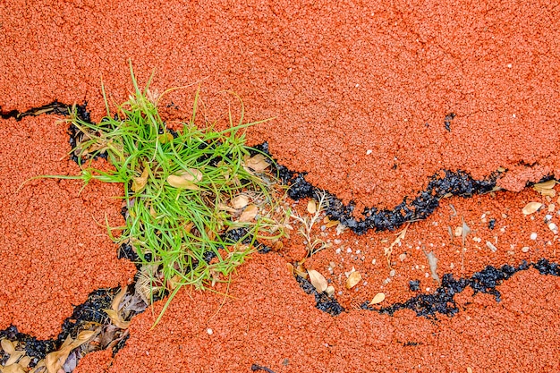 Gebarsten oppervlakte van speelplaatsrubber met groen gras