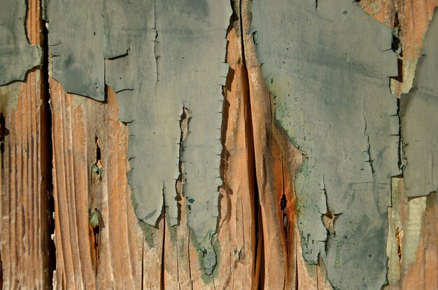 Gebarsten verf op een houten muur. Grunge achtergrond. Verweerd hout lichtgroen en oranje