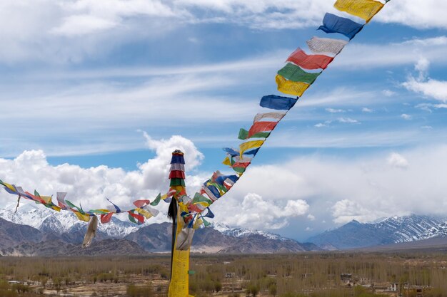 Gebedsvlaggen van de Himalaya