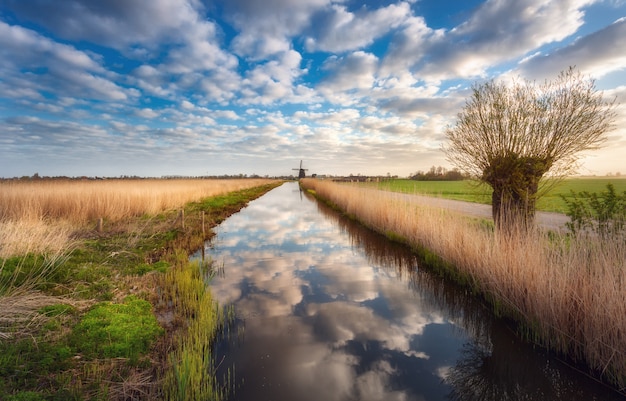 Foto gebieden dichtbij het waterkanaal bij zonsopgang in nederland