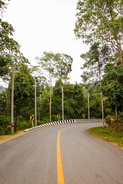 Gebogen asfaltweg in Thailand