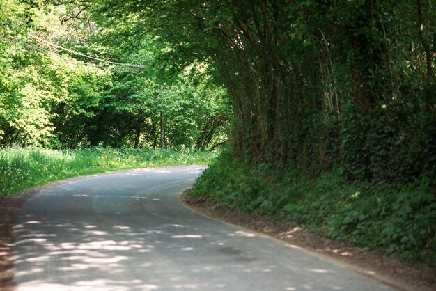 Gebogen smalle auto verharde weg in de zomer