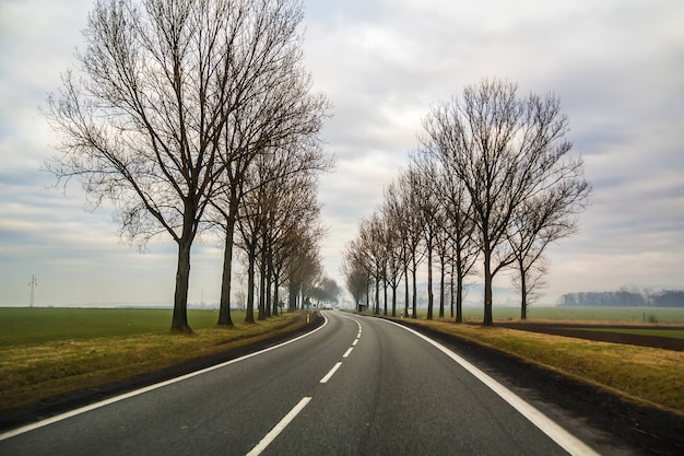 Gebogen Two Lane Country Road kronkelende door bomen.