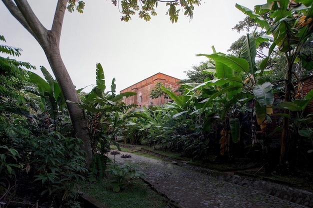 Gebouw wordt gezien door vegetatie, vooral bananenpalm. Het gebouw is gemaakt van natuurlijke rode baksteen