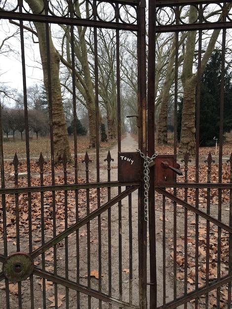 Gebouwd gebouw met bomen op de achtergrond