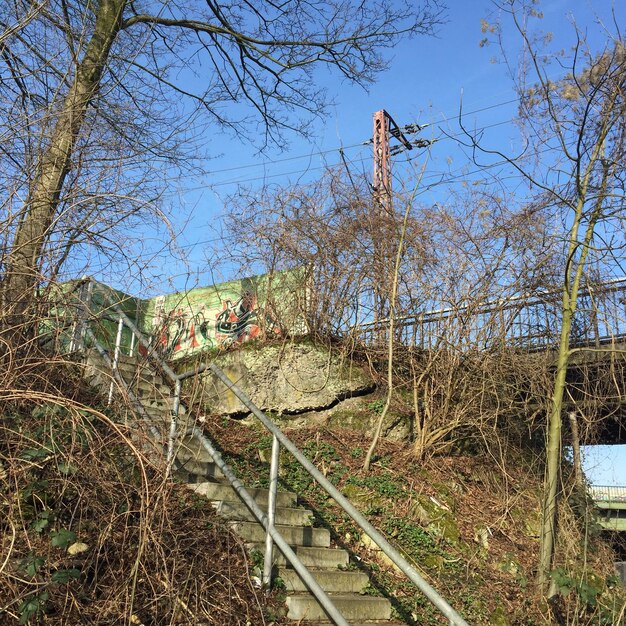 Foto gebouwd gebouw met bomen op de achtergrond