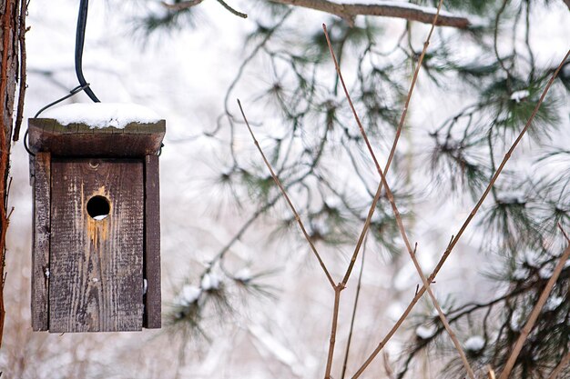 Foto gebouwen in de winter