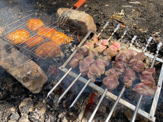 Gebraden varkensvlees shish kebab en kip shish kebab in de natuur