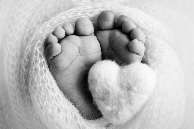 Gebreid hart in de benen van een baby Zachte voeten van een pasgeborene in een wollen deken Close-up van tenen, hakken en voeten van een pasgeborene Macro zwart-witfotografie de kleine voet van een pasgeboren baby