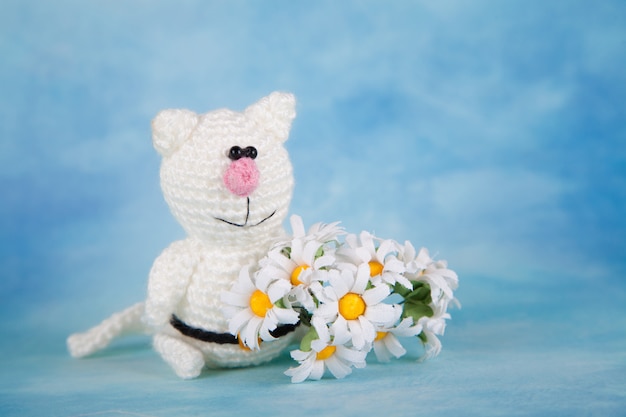 Gebreide kat. St. Valentijnsdag decor. Gebreide speelgoed, amigurumi, wenskaart.